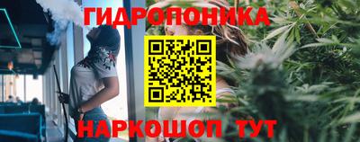 стафф Нальчик