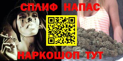 стафф Нальчик