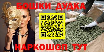 крисы Новодвинск