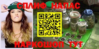 дмт Новозыбков